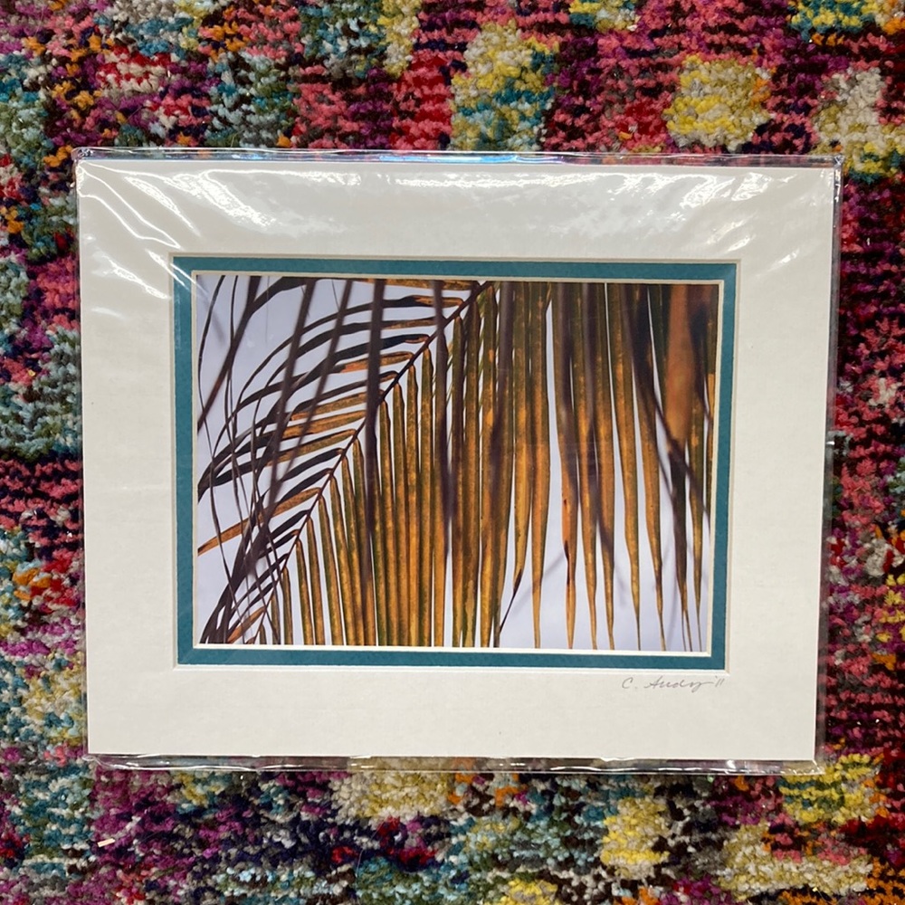 Original photograph palm tree sunset 10x8”